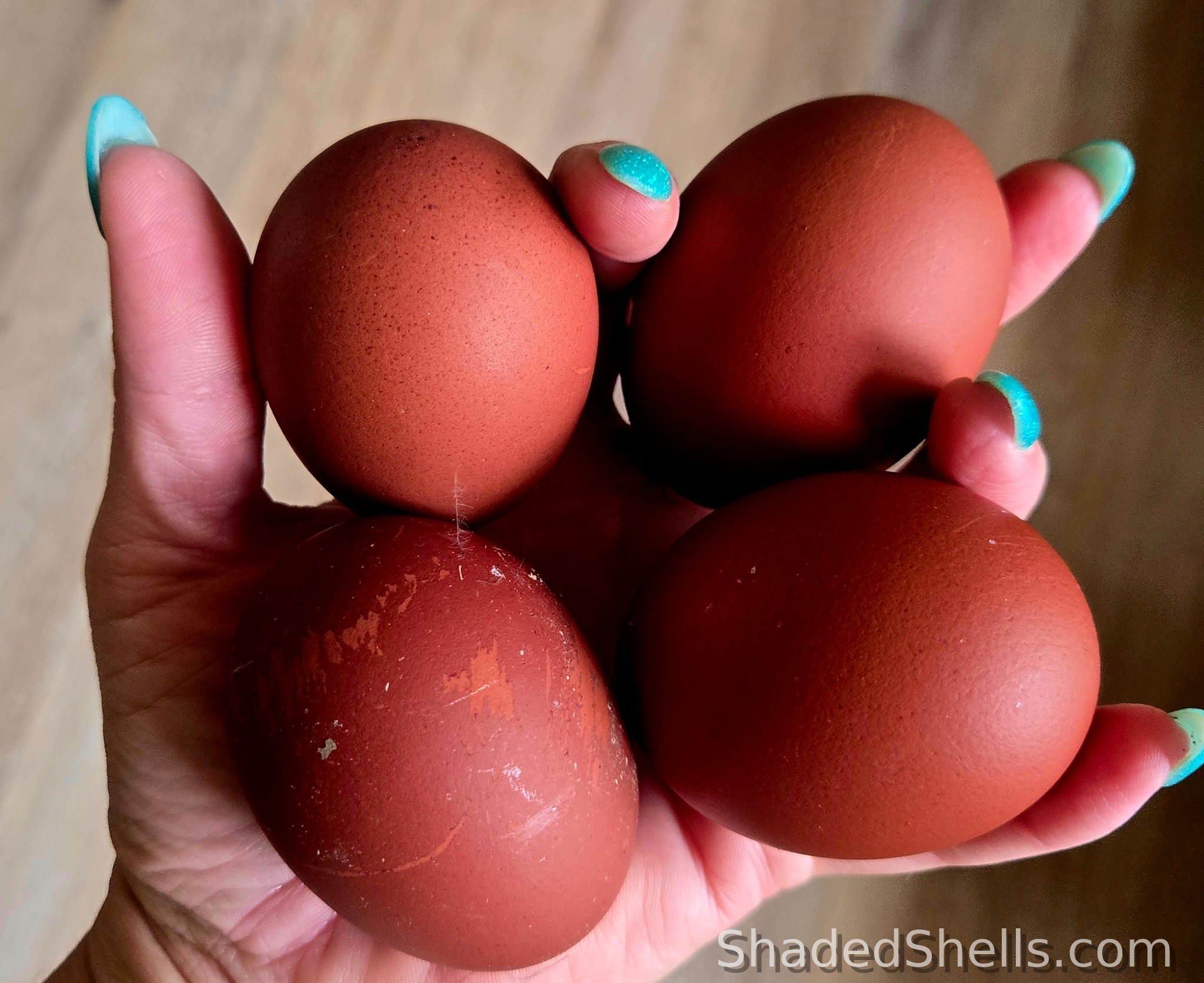 Chocolate layer eggs